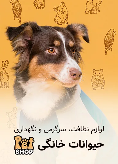 از بازی تا نظافت، برای پت شما
